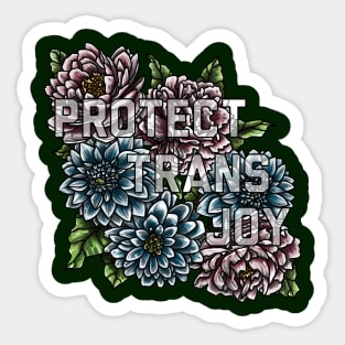 Protect Trans Joy Sticker